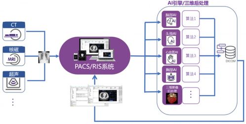 沈陽市第六人民醫院 構建智能化影像診斷體系，讓醫療服務更精準、更高效