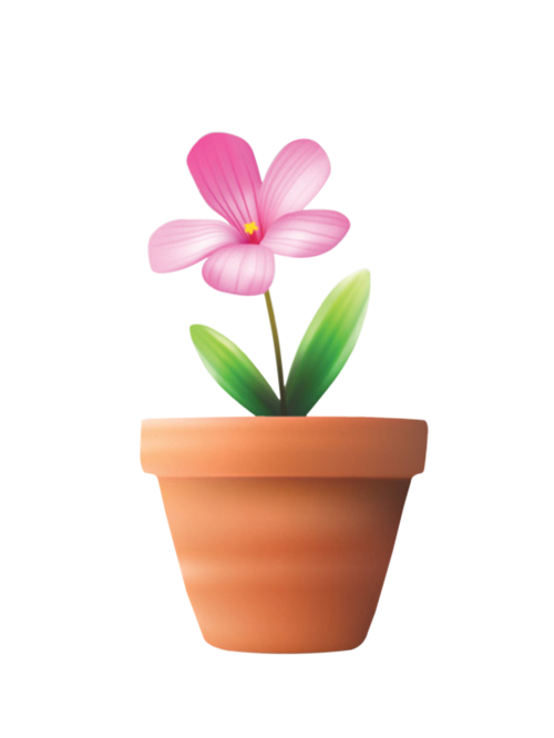 小花盆栽圖片大全