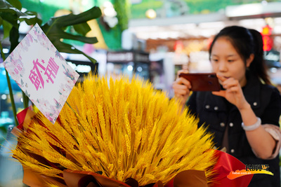 唐山開平:直播花卉銷售忙