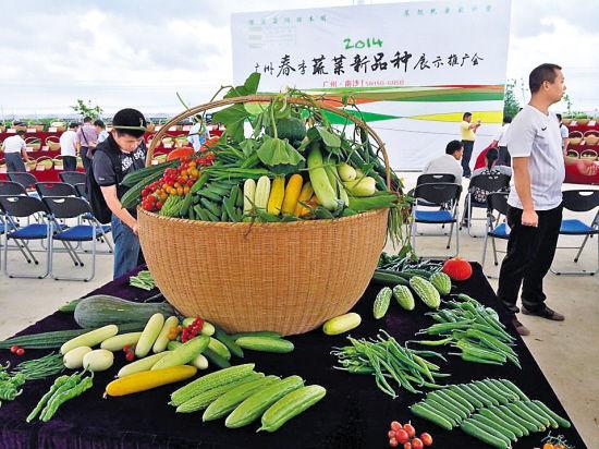 農民朋友反映較好的蔬菜良種以及新培育的高產優質的蔬菜新品種