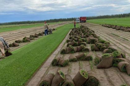 左權(quán)林木產(chǎn)品信息_左權(quán)企業(yè)產(chǎn)品分類信息_左權(quán)壹佰業(yè)