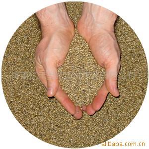 供應(yīng)草坪花卉種子草種牧草水土保持植物種子林木種子