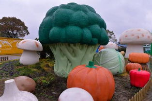 沒理由 免費門票繼續(xù)送 明天去絕對爽