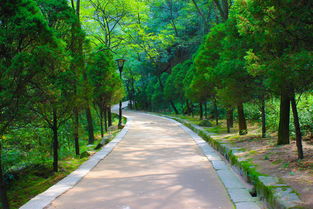 回望華山,五峰盡觀 華山詳細攻略分享,相信我,進來看看 ,華山自助游攻略