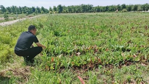 綠水青山 算 身價 恒豐銀行巧用gep核算報告助力企業(yè)破解融資難題