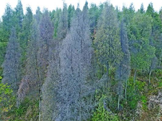 貴州臺江經(jīng)開區(qū)回應 整改3年污染不減反增 相關企業(yè)停產(chǎn)