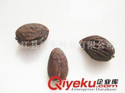 供應(yīng)木蘭科種子 觀光木 香花木香木楠、宿軸木蘭 園林綠化種子-九江縣建華種業(yè)提供供應(yīng)木蘭科種子 觀光木 香花木香木楠、宿軸木蘭 園林綠化種子的相關(guān)介紹、產(chǎn)品、服務(wù)、圖片、價(jià)格九江縣建華種業(yè)、林木種子;工程種子;園林綠化種子;花卉種子;珍稀樹(shù)種;紫玉蘭種子;羅漢松種子;黃山欒種子;小葉雞爪槭種子;桂花種子;濕地松種子;雪松種子;楠木種子;南方紅豆杉種子;櫸樹(shù)種子;杉木種子;皂角種子;楊梅種子;馬尾松種子;藍(lán)花楹種子