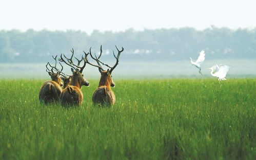 百年輝煌 美麗中國 林草圖片展受到好評