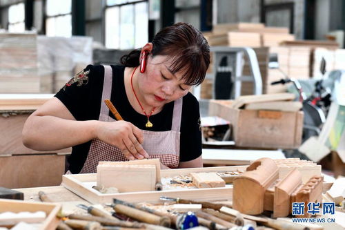 山東曹縣 林木撬動大產業