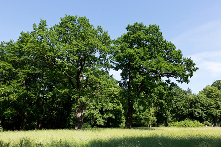 扣子素材攝影圖