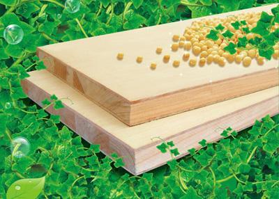 武漢將成俄羅斯木材中東部地區集散中心_