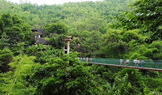 西雙版納原始森林公園門票 電子票無包車限制