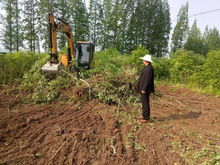 康寧村 退林還耕 工作穩(wěn)步推進