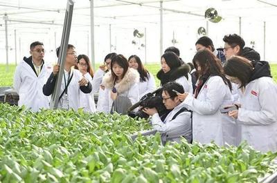 劉強東終于出手!京東新技術的誕生,或將顛覆傳統蔬菜種植