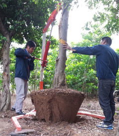 液壓起吊機 優質起吊機 樹木起吊機